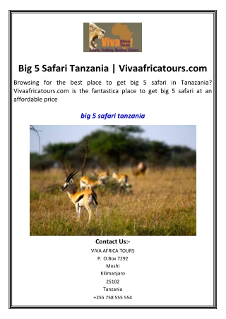 Big 5 Safari Tanzania  Vivaafricatours.com