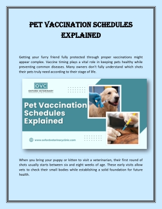 Pet Vaccination Schedules Explained