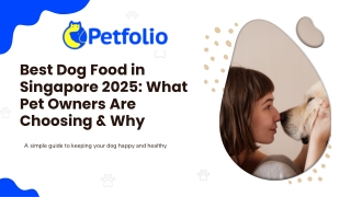 Best Dog Food in Singapore 2025: What Pet Owners Are Choosing & Why