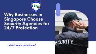 Why Businesses in Singapore Choose Security Agencies for 24/7 Protection
