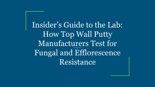 Insider’s Guide to the Lab_ How Top Wall Putty Manufacturers Test for Fungal and Efflorescence Resistance