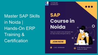 master sap skills in noida hands on erp training