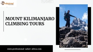 Mount kilimanjaro Climbing Tours