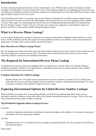 Exploring International Options for International Reverse Number Lookups.