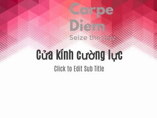 carpe diem seize the day