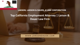 Top California Employment Attorney | Larson & Dauer Law Firm