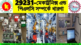 29231 29231