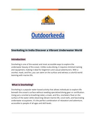 Snorkeling in India Discover a Vibrant Underwater World