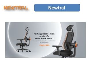 The Best Ergonomic Home Office Chair for Comfort and Productivity