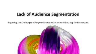 Lack of Audience Segmentation in Business WhatsApp API
