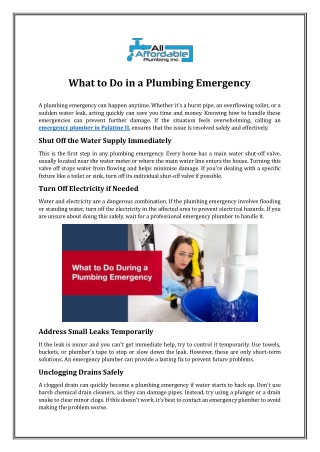 What to Do in a Plumbing Emergency
