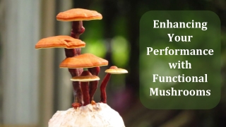Enhancing Your Performance with Functional Mushrooms
