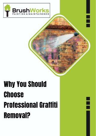 Why You Should Choose Professional Graffiti Removal?