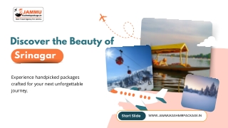 Kashmir Package