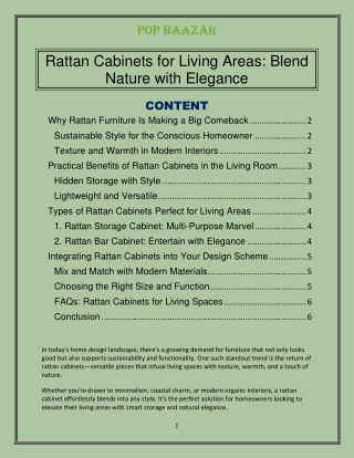 Rattan Cabinets for Living Areas: Blend Nature with Elegance
