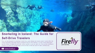 Snorkeling in Iceland The Guide for Self-Drive Travelers