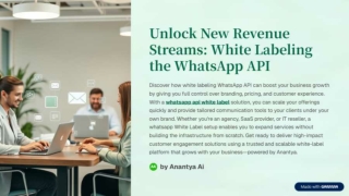 Whatsapp API White Lable Partner | Anantya.ai