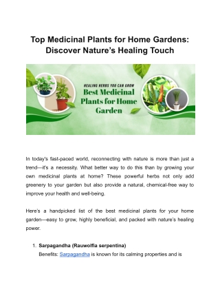 Top Medicinal Plants for Home Gardens: Discover Nature’s Healing Touch