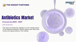 the insight partners