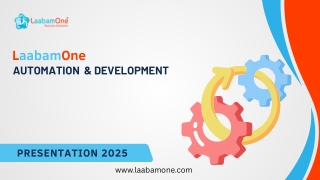 laabamone automation development