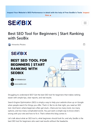 inspect your website s seo performance in detail