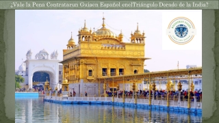 ¿Vale la Pena Contratarun Guíaen Español enelTriángulo Dorado de la India?