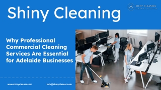 Why Professional Commercial Cleaning Services Are Essential for Adelaide Businesses