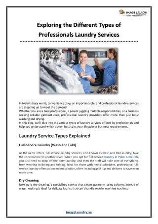 Exploring the Different Types of Professionals Laundry Services