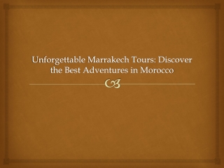 Marrakech Tours