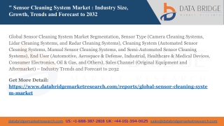 Global Sensor Cleaning System Market