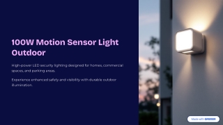 100W Motion Sensor Light Outdoor