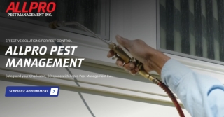 Get Pest Control Services on Johns Island, SC