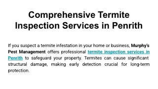 Comprehensive Termite Inspection Services in Penrith