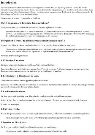 **Canalisations Bouchées ? Découvrez les Meilleures Méthodes de Débouchage et d'