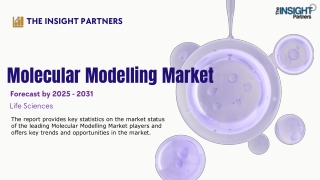 the insight partners