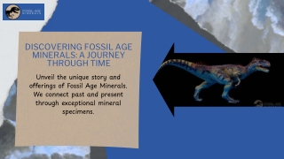 discovering fossil age minerals a journey through