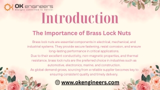 India’s Trusted Brass Lock Nuts Supplier – Serving Global Markets...