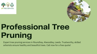 Professional tree pruning in Roundhay, Alwoodley, Leeds.