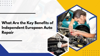 Reliable Fixes for Luxury Vehicle Issues