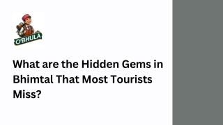 what are the hidden gems in bhimtal that most