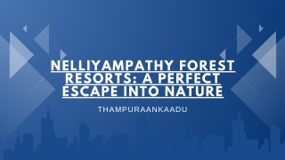 Nelliyampathy Forest Resorts A Perfect Escape into Nature
