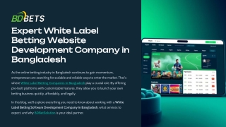 White Label Betting Company in Bangladesh