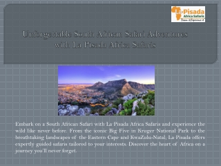 Unforgettable South African Safari Adventures with La Pisada Africa Safaris