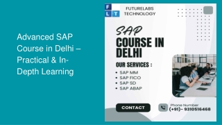 advanced sap course in delhi practical in depth