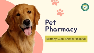 Pet Pharmacy Services That Put Your Companion First