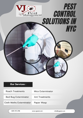VJ Pest Management Eco-Friendly Pest Control Solutions in NYC