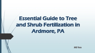 essential guide to tree and shrub fertilization in ardmore pa