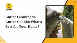 gutter cleaning vs gutter guards what s best