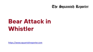 Bear Attack in Whistler - www.squamishreporter.com