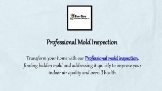 Professional Mold Inspection